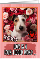 Fox Terrier and Roses Valentine’s Day card