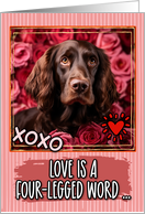 Field Spaniel and Roses Valentine’s Day card