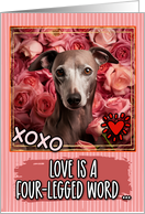 Whippet and Roses Valentine’s Day card