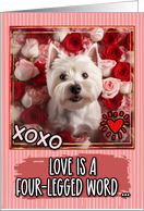 West Highland White Terrier and Roses Valentine’s Day card