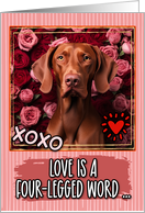 Vizsla and Roses Valentine’s Day card