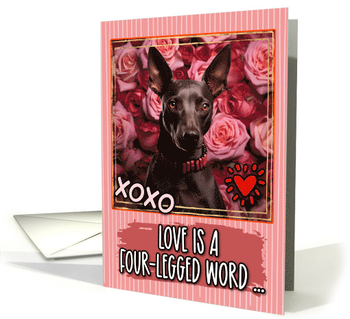Mexican Hairless Dog and Roses Valentine's Day card (1812146)