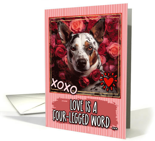 Texas Heeler and Roses Valentine's Day card (1812210)