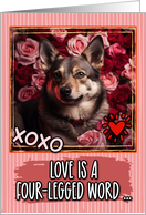 Swedish Vallhund and Roses Valentine’s Day card