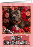 Staffordshire Bull Terrier and Roses Valentine’s Day card