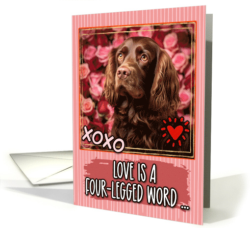 Sussex Spaniel and Roses Valentine's Day card (1812220)