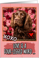 Sussex Spaniel and Roses Valentine’s Day card