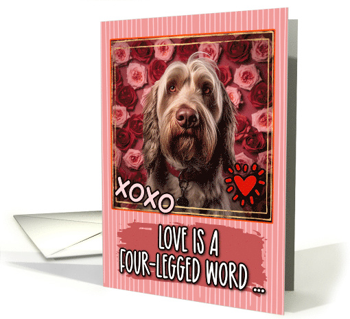 Spinone Italiano and Roses Valentine's Day card (1812222)