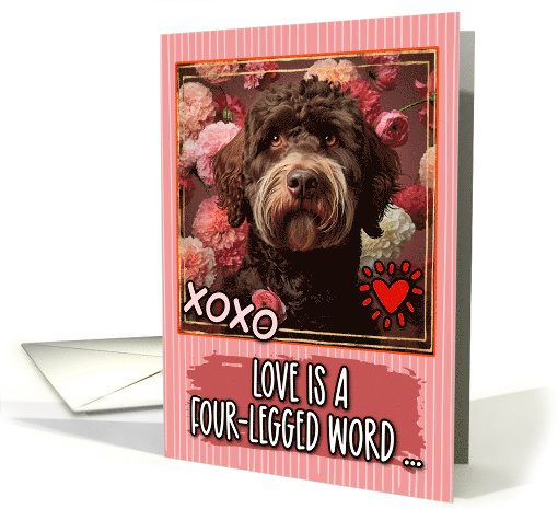 Spanish Water Dog and Roses Valentine's Day card (1812224)