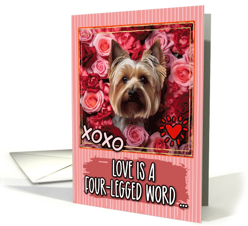 Silky Terrier and Roses Valentine's Day card (1812232)