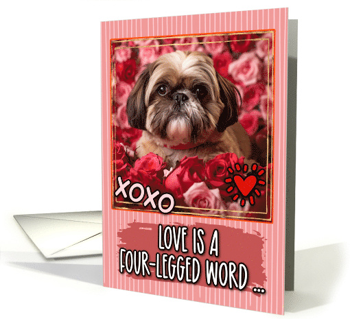 Shih Tzu and Roses Valentine's Day card (1812234)