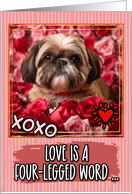 Shih Tzu and Roses Valentine’s Day card