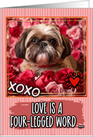 Shih Tzu and Roses...