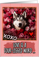 Siberian Husky and Roses Valentine’s Day card
