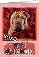 Shar-Pei and Roses Valentine’s Day card