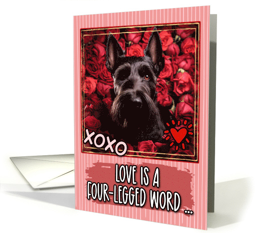 Scottish Terrier and Roses Valentine's Day card (1812244)