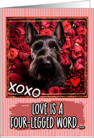 Scottish Terrier and Roses Valentine’s Day card