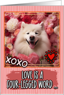 Samoyed and Roses Valentine’s Day card