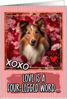 Rough Collie and Roses Valentine’s Day card