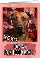 Rhodesian Ridgeback and Roses Valentine’s Day card