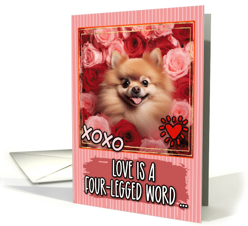 Pomeranian and Roses Valentine's Day card (1812372)