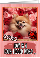 Pomeranian and Roses Valentine’s Day card