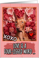 Pharaoh Dog and Roses Valentine’s Day card