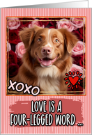 Nova Scotia Duck Tolling Retriever and Roses Valentine’s Day card