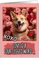 Norwegian Lundehund and Roses Valentine’s Day card