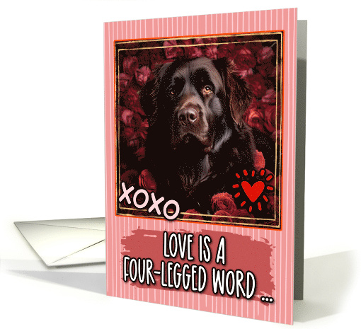 Newfoundland and Roses Valentine's Day card (1812408)