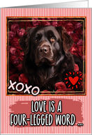 Newfoundland and Roses Valentine’s Day card