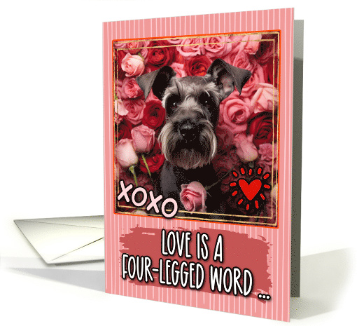 Miniature Schnauzer and Roses Valentine's Day card (1812410)