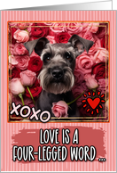 Miniature Schnauzer and Roses Valentine’s Day card