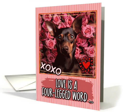 Miniature Pinscher and Roses Valentine's Day card (1812412)