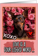 Miniature Pinscher and Roses Valentine’s Day card