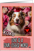 Miniature American Shepherd and Roses Valentine’s Day card