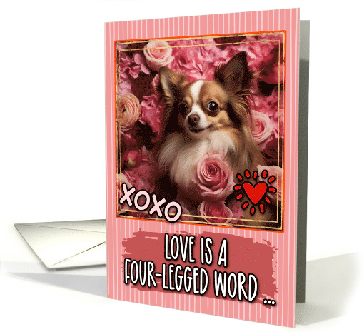 Longhaired Chihuahua and Roses Valentine's Day card (1812426)