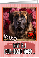Leonberger and Roses Valentine’s Day card