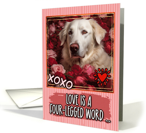 Kuvasz and Roses Valentine's Day card (1812440)