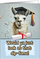 Congratulations Graduation Llama card