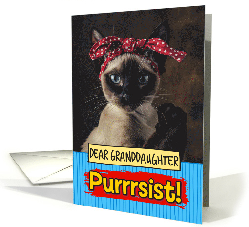 Granddaughter Purrrsist You Can Do It Siamese Cat card (1814278)