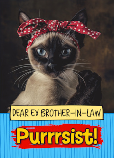 Ex Brother in Law Purrrsist You Can Do It Siamese Cat