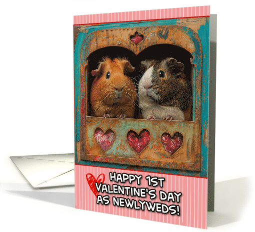First Valentine's Day as a Newlywed Couple Guinea Pigs card (1820142)