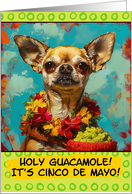 Cinco de Mayo Chihuahua with Guacamole card