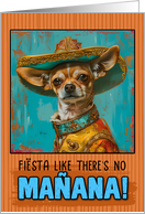 Cinco de Mayo Chihuahua with Sombrero card