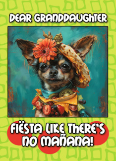 Granddaughter Happy Cinco de Mayo Chihuahua with Taco Hat