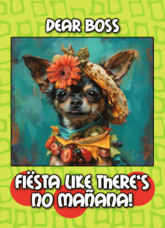 Boss Happy Cinco de Mayo Chihuahua with Taco Hat