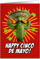 Cinco de Mayo Cactus...