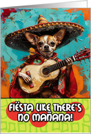 Cinco de Mayo...