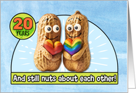 20 Years Wedding Anniversary Congrats LGBTQIA Peanuts card